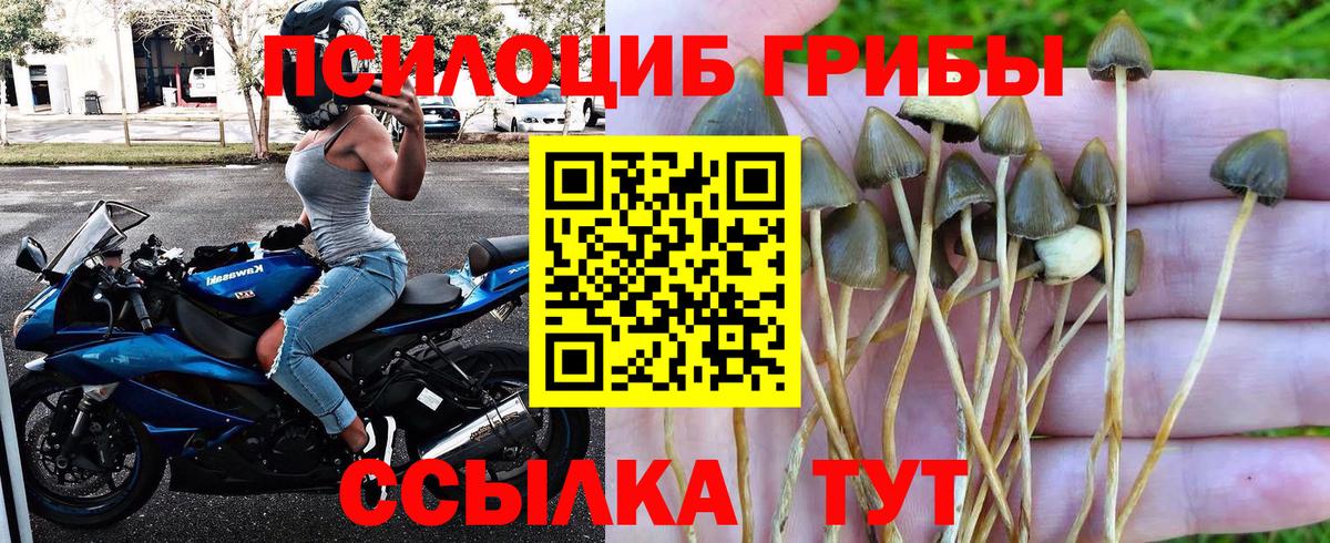 Псилоцибиновые грибы MAGIC MUSHROOMS Кондопога